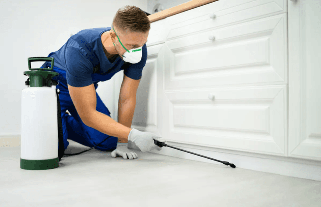 Keep Your Property Pest Free with the Best Pest Control Services