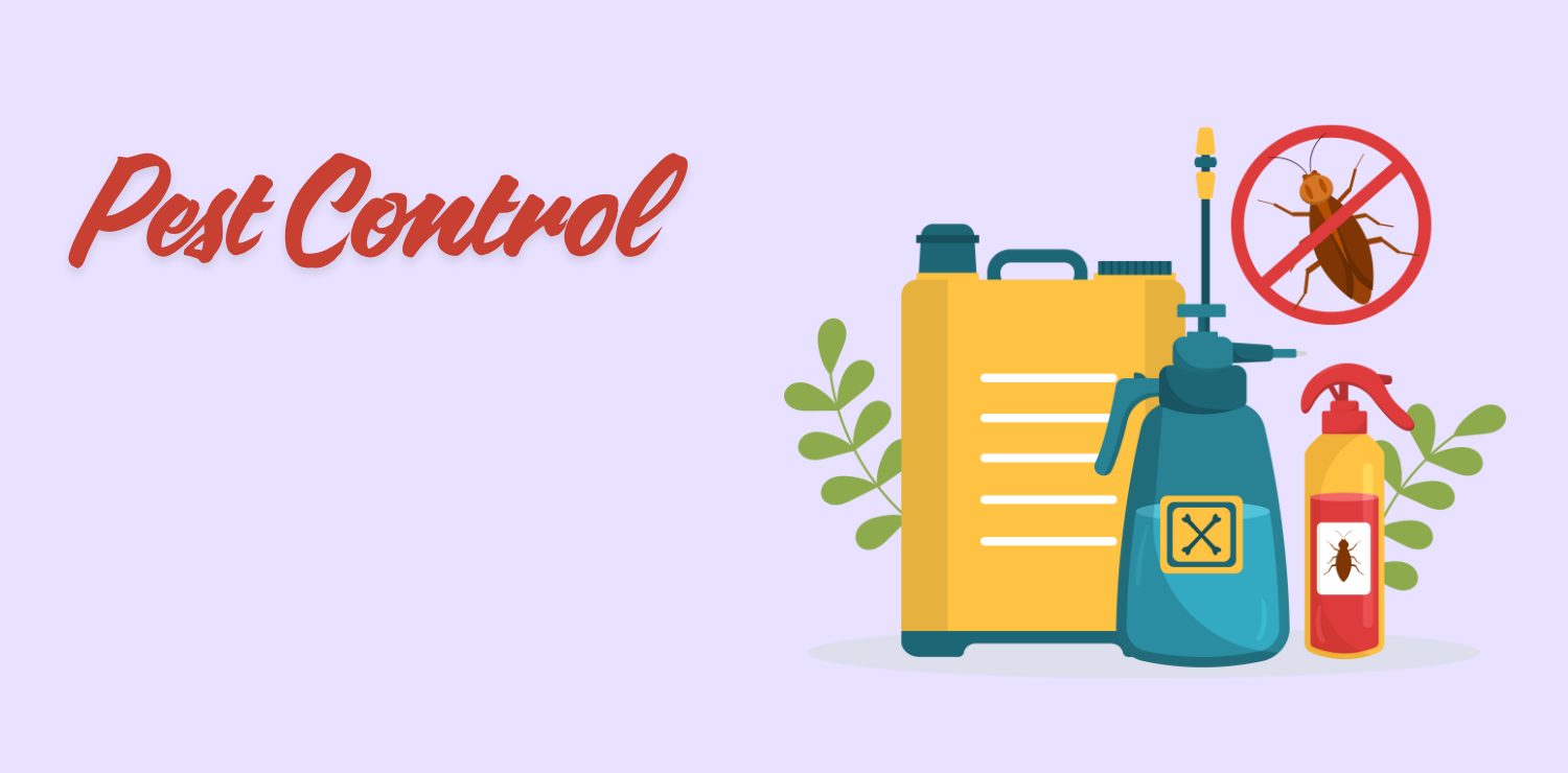 All you need to know about Pest Control