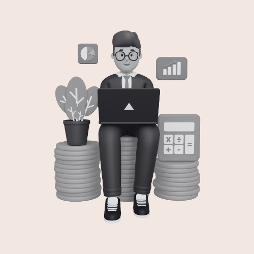 Chartered Accountant
