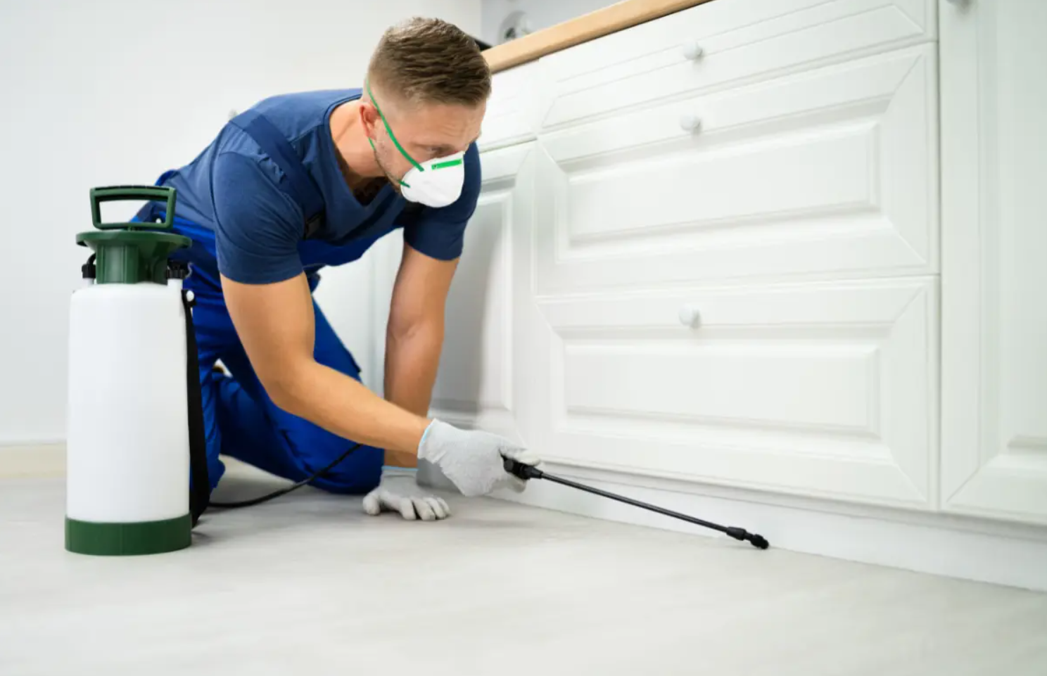 Keep Your Property Pest Free with the Best Pest Control Services