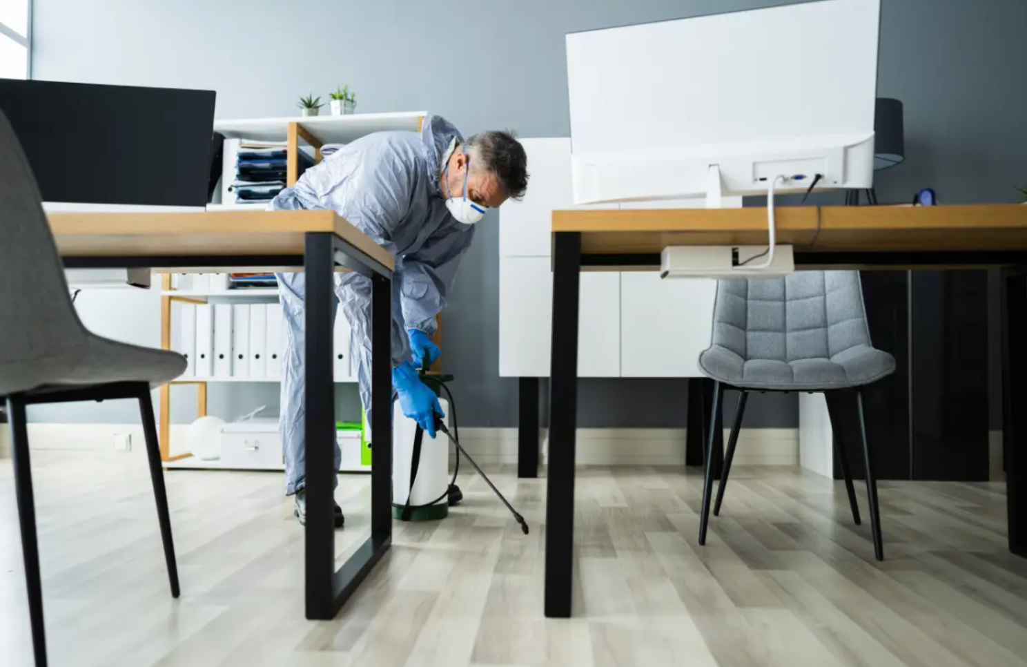 Key Features of Pest Control Services