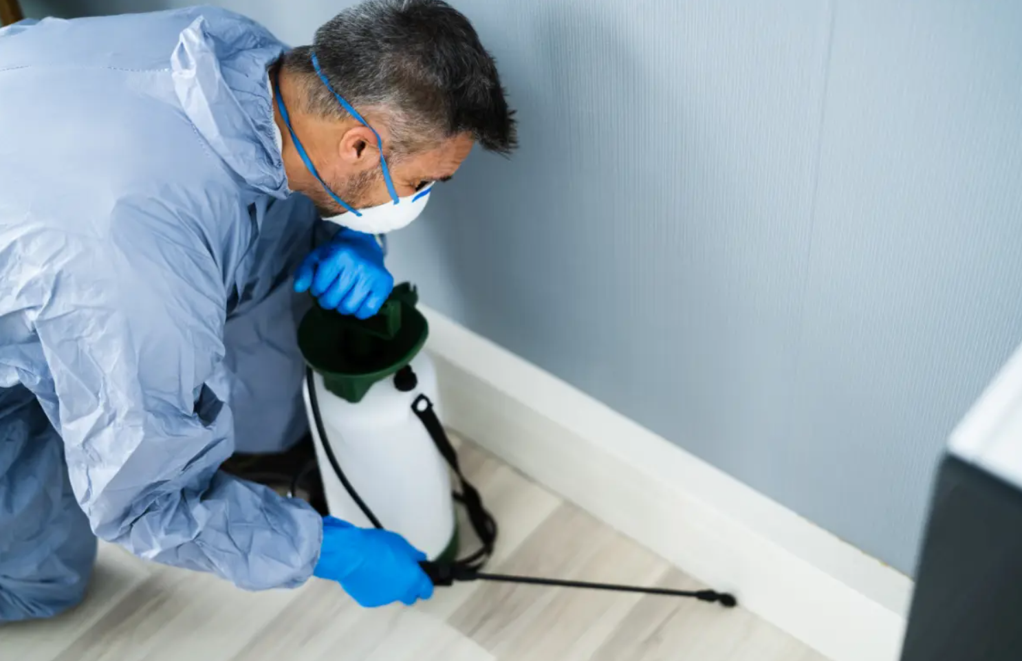 Types of Pest Control Services
